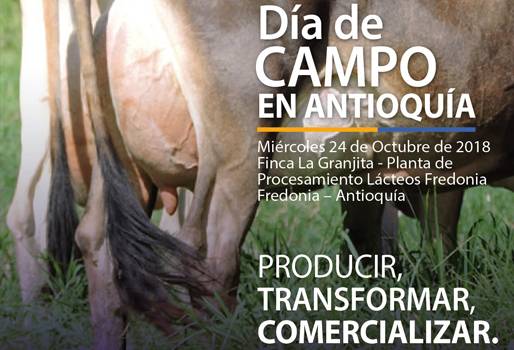 Día de Campo Asojersey 2018, lácteos Fredonia, La granjita, producción de leche Jersey, Jersey leche, transformar productos lácteos, Día de Campo Asojersey octubre 2018, presidente Asojersey 2018, proyectos Asojersey, actividades Asojersey 2018, Fedegán Asojersey 2018, CONtexto ganadero, ganaderos colombia, noticias ganaderas colombia