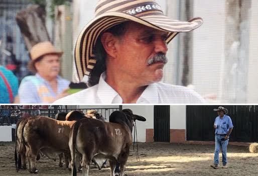 “El juzgamiento no es con diapositivas, ni se habla sobre un tablero, sino sobre los animales en vivo”, dijo Cesar Payan. Foto: Cortesía. Juez Cesar Payan, juzgamiento, armonía del bovino, observar y seleccionar, analizar patas y manos, mirar los testículos, tocas testículos, mirar las costillas, generalidad del bovino, CONtexto ganadero, noticias de ganadería colombiana.