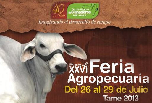 3.000 ganaderos y más de 120 ejemplares participarán en uno de los eventos agropecuarios más importantes de la región. Foto: XXVI Ferias Agropecuarias de Tame. Feria de Tame