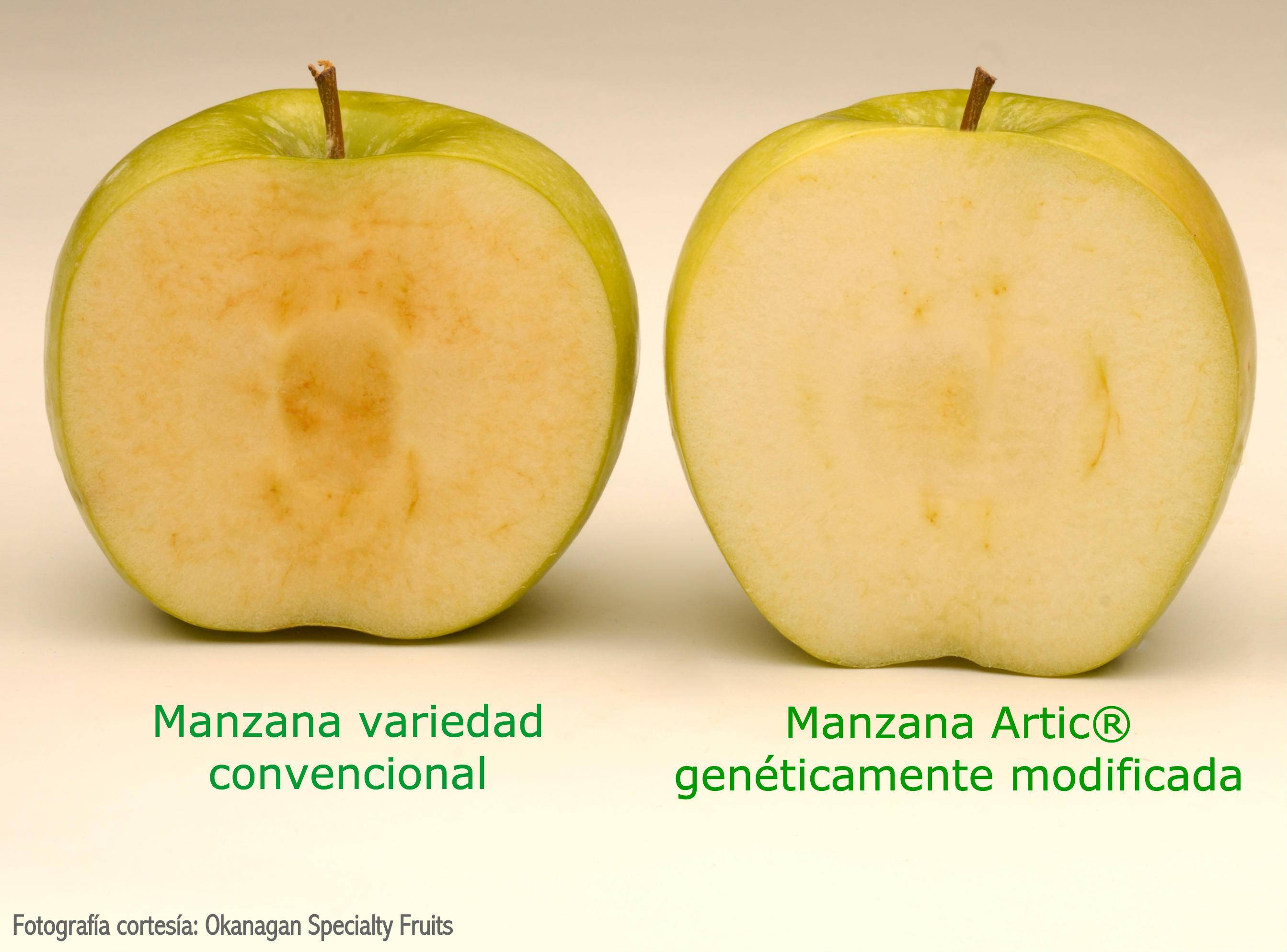 manzana transgénica, manzana transgénica ventas