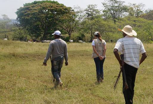 programa de restitución de tierras, Unidad de restitución, Ley 1448, ganaderos de Bolívar, víctimas del programa de restitución, despojo de tierra, expropiación forzada, inseguridad jurídica, Contexto Ganadero