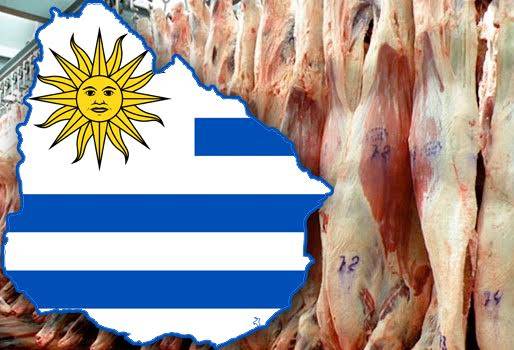 exportaciones uruguay carne estados unidos