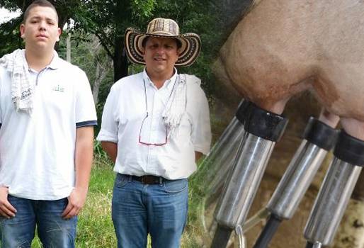 Cartago, Valle del Cauca, Hacienda Los Limones, Cogancevalle, Cooperativa de Ganaderos del Centro y Norte del Valle, Asociación de Ganaderos del Norte del Valle, Asoganorva, Reconocimiento, Lechería especializada, Taller de lechería especializada, Brahman, .contexto ganadero