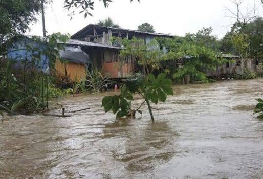 Lluvias intensas en San Pedro de los Milagros, afectan pastos, escasez de comida, falta de nutrición, falta de luz solas, exceso de nubosidad, cojeras en vacas, CONtexto Ganadero, noticias de ganadería colombiana.