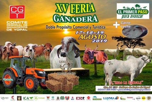 XV Feria Ganadera de Yopal, feria ganadera yopal, feria exposición Yopal, feria doble propósito, ganaderos doble propósito, ganadero de Yopal, ganaderos de Casanare, Comité de Ganaderos de Yopal