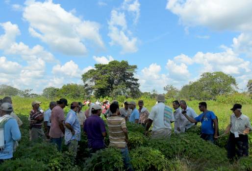 visita técnica, modelo, sistema productivo. productividad, rendimiento, BPG, sostenible, finca, empresa ganadera, ganaderos Norte de Santander, Cesar