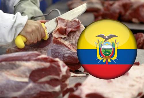 Frontera Colombia Ecuador, comercio Colombia Ecuador, comercio insumos agropecuarios Colombia Ecuador, Contrabando, contrabando Ecuador, contrabando en ecuador, contrabando agrícola en ecuador, relaciones Colombia Ecuador 2021, ganaderos, ganaderos colombia, ganado, vacas, vacas Colombia, bovinos, Ganadería, ganadería colombia, noticias ganaderas, noticias ganaderas colombia, CONtexto ganadero, contextoganadero