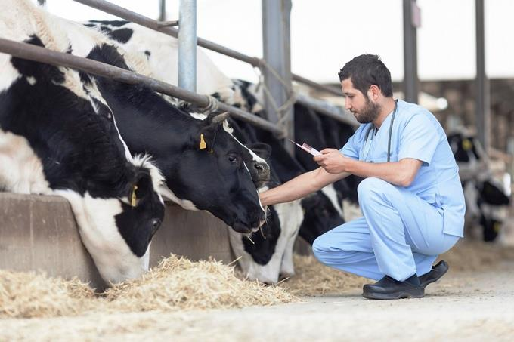 Máster en Producción y Sanidad Animal