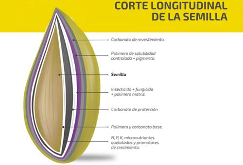 semilla incrustada, define semilla incrustada, semilla incrustada Colombia, Ganadería, Bracharia Híbrido Sabia AIG 330J, bracharia AIG 330J, fedegan, TVGAN, Colombia, Fedegán capacitación, capacitación Facebook Live, Sáenz Fety, pastos para clima cálido, nuevo pasto, formación ganaderos, capacitación ganaderos, capacitación ganadería, CONtexto ganadero, ganaderos colombia, noticias ganaderas colombia