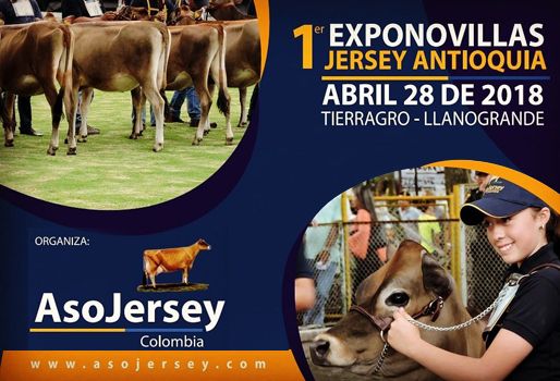 1er Exponovillas Jersey Antioquia 2018, 1er Exponovillas Jersey Antioquia, Exponovillas Asojersey 2018, Exponovillas Jersey Asojersey febrero 2018, bondades raza Jersey, Asojersey 2018, proyectos Asojersey, actividades Asojersey 2018, junta directiva Asojersey, Fedegán Asojersey 2018, CONtexto ganadero, ganaderos colombia, noticias ganaderas colombia