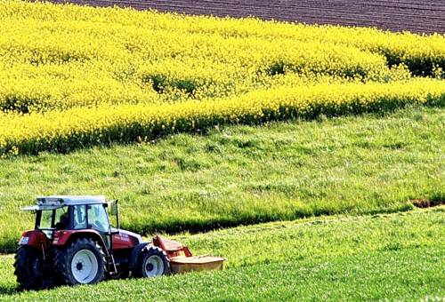 fincas inteligentes, reino unido, ganaderos, agrotecnología, productividad, expoagrofuturo, Ganadería Sostenible, Agri EPI Centre, eficiencia, sostenibilidad, peso vivo, Ganadería, ganadería colombia, noticias ganaderas colombia, CONtexto ganadero