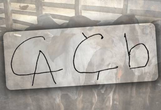 Ganado robado en Cesar 