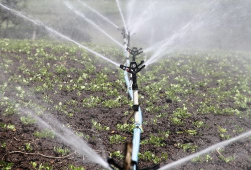 Ganadería, ganadería colombia, noticias ganaderas, noticias ganaderas colombia, CONtexto ganadero, plataforma chilena, medición de agua en chile, medición de agua en cultivos en chile, plataforma PLAS, plataforma EFo en chile, agricultura de precisión en Chile, tecnologías agrícolas en chile