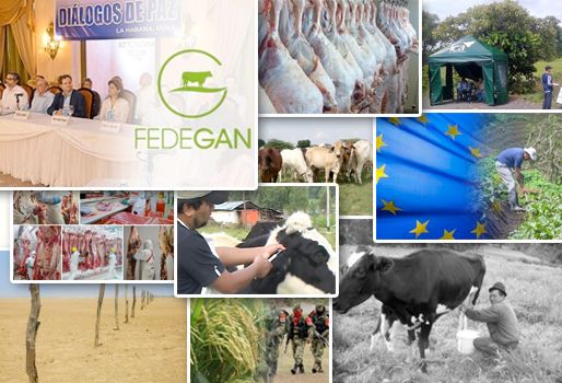 Tómese 5 minutos de su tiempo para darle una lectura rural a los temas que fueron noticia esta semana. Foto: CONtexto ganadero. resumen noticias ganadería, noticias ganadería colombia, noticias ganado colombia fedegán, CONtexto ganadero, lafaurie noticias ganaderia