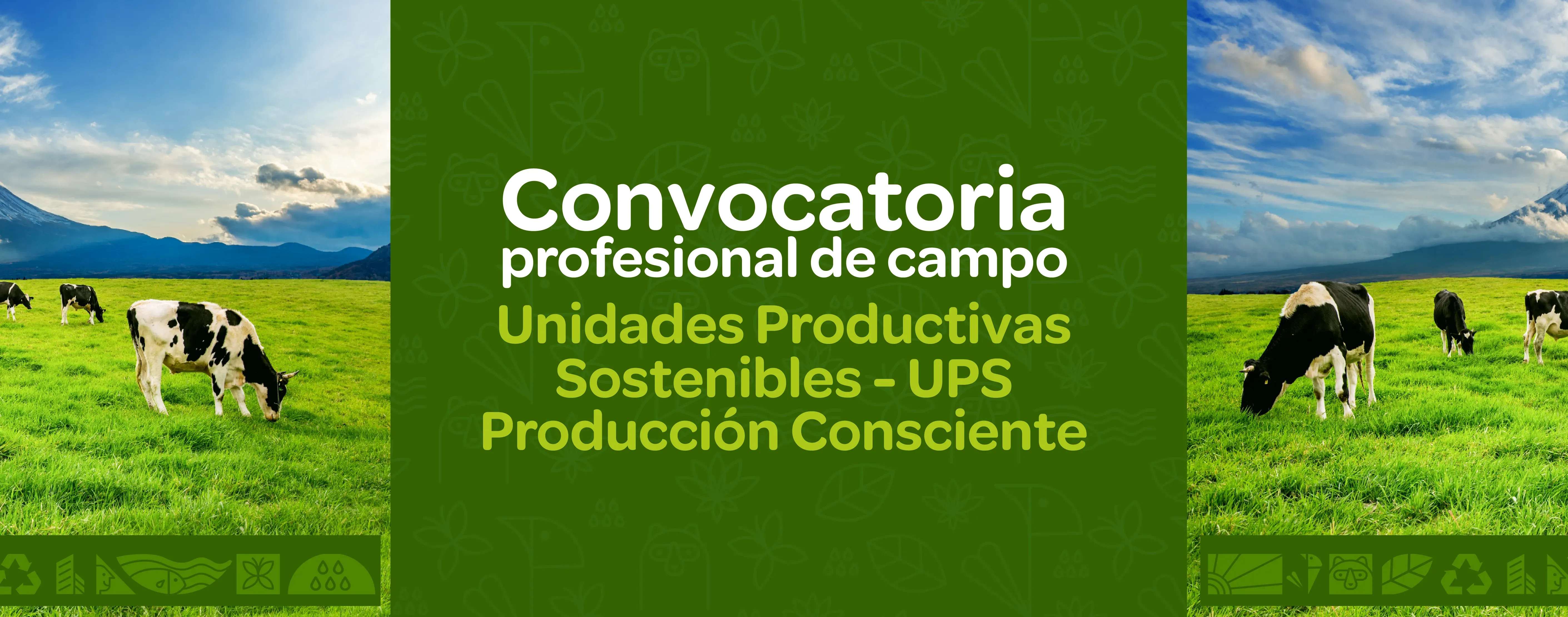Convocatoria para investigadores de campo