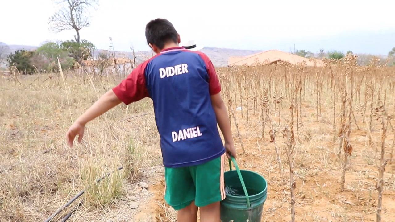 Ganadería, ganadería colombia, noticias ganaderas, noticias ganaderas colombia, CONtexto ganadero, Santander, sequía santander, verano santander, incendios forestales santander