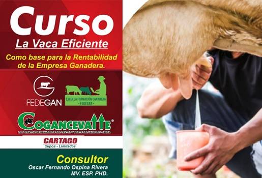 Colombia, Fedegan, Escuela de Formación Ganadera de Fedegán, Fedegán capacitación, "La Vaca eficiente como base para la rentabilidad de la empresa ganadera, leche, FABEGÁN, Oscar Ospina,", ganadería colombiana, noticias ganaderas Colombia, Contexto ganaderos, vacas