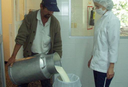 Acopio de leche