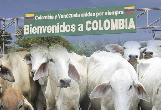 Ganadería, ganadería colombia, noticias ganaderas, noticias ganaderas colombia, CONtexto ganadero, Venezuela, Nicolás Maduro, juan guaidó, situación venezuela, ganadería norte de santander, Comité de Ganaderos de Norte de Santander, fedegan