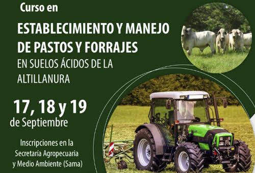 ganadería, ganaderia colombia, ganaderia colombiana, contexto ganadero, noticias ganaderas, noticias ganaderas colombia, establecimiento de pasturas, manejo de pasturas, pasturas, manejo de forrajes, altillanura, pastos altillanura, suelos, analisis de suelos, ganaderos, ganaderos colombia, curso agrosavia, agrosavia