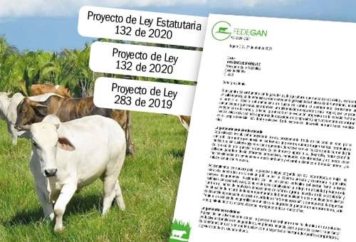 Ganadería, ganadería bovina, proyectos legislativos afectan la ganadería bovina, Proyecto de Ley Estatutaria No. 132/20 – Cámara, Proyecto de Ley No. 011/20 – Cámara, Código Nacional de Protección y Bienestar Animal, Proyecto de Ley no. 283/19 – Cámara, delitos contra los recursos naturales y el medio ambiente, especialidad judicial rural y agraria, vacas, vacas Colombia, lechería, bovinos, ganadería bovina, ganadería bovina Colombia, noticias ganaderas, noticias ganaderas Colombia, contextoganadero