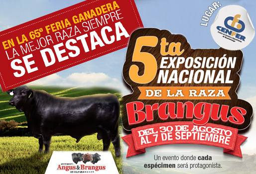 Feria de Bucaramanga