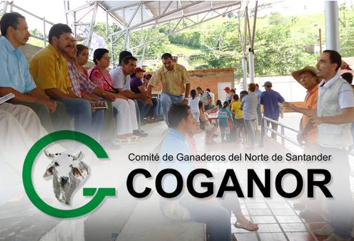 Coganor, Ganaderos de Norte de Santander, fortalecimiento gremial, labor del FNG, labor de Fedegán, CONtexto ganadero