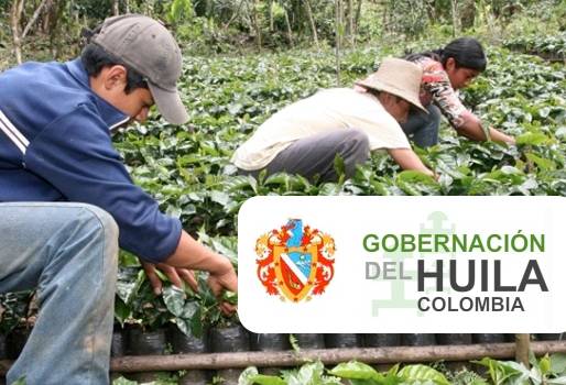 programa en beneficio de los empresarios del campo, gobernación del Huila le apuesta a los empresarios del campo