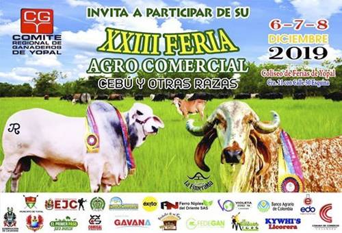 Feria ganadera de Yopal, comité regional de ganaderos de Yopal, ganaderos de Yo