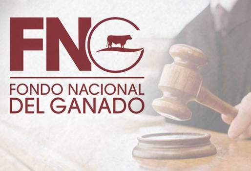 Liquidación del FNG, Liquidación del FNG lafaurie, Liquidación del FNG fedegán, Liquidación del FNG fallo, contexto ganadero