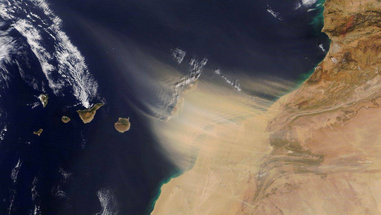 Ganadería, ganadería colombia, noticias ganaderas, noticias ganaderas colombia, CONtexto ganadero, polvo del sahara, sahara, capa de aire del sahara, polvo del sahara en colombia, efectos del polvo del sahara
