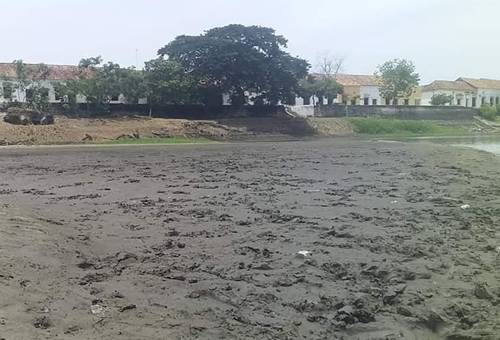 Sedimentación brazo Mompox, brazo Mompox, Ganaderos Mompox, depresión momposina, Ganaderos Bolívar inundación río Magdalena septiembre 2019, ganaderos sur Bolívar, Asociación Ganaderos Depresión Momposina, falta ayuda Gobierno ganaderos Bolívar, falta ayuda Ministerio de Agricultura, ganaderos Bolívar, afectaciones invierno Bolívar, CONtexto ganadero, ganaderos colombia