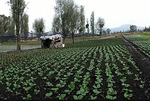 Agua, cantidad de agua en el subsuelo, Técnica para cuantificar el agua mediante impedancia eléctrica, México,Instituto Tecnológico de Morelia (ITM), José Antonio Gutiérrez Gnecchi, CONtexto ganadero, ganadería Colombia, Noticias ganaderas Colombia