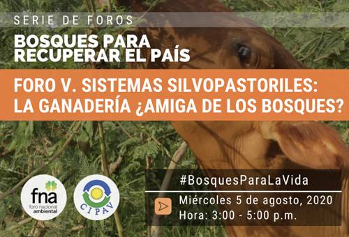 Ganadería, ganadería colombia, noticias ganaderas, noticias ganaderas colombia, CONtexto ganadero, Fondo Nacional de Ambiente, Cipav, WWF, ‘Sistemas silvopastoriles: la ganadería ¿amiga de los bosques?, Proyecto Ganadería Colombiana Sostenible, Sistemas silvopastoriles