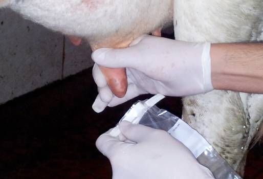 Análisis de la leche