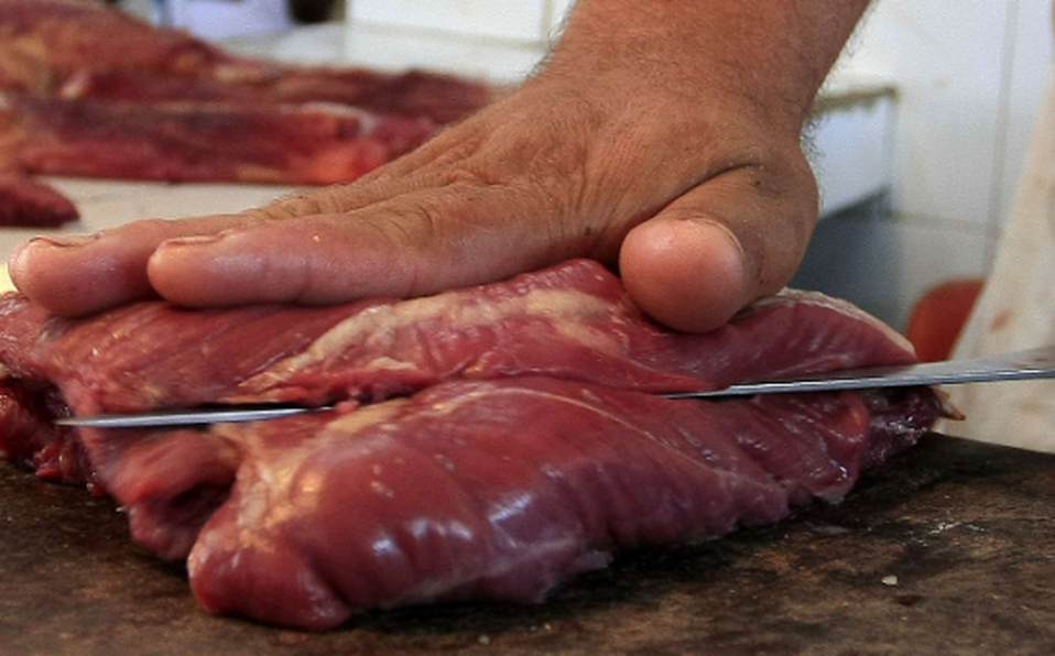 Ganadería, ganadería colombia, noticias ganaderas, noticias ganaderas colombia, CONtexto ganadero, PAE, pae carne de burro, pae carne de caballo, pae santander carne de caballo, carne de caballo a niños de santander, Fedegasán<