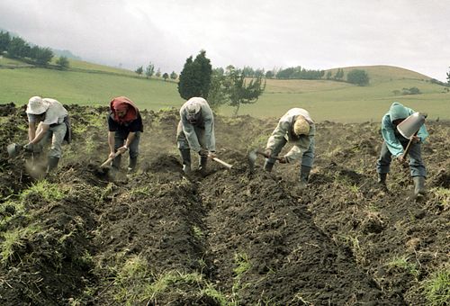 ganaderos, agricultores, estiércol, establo, pastos, suelos, Forrajes, topografía, finca, cadena productiva, nutritivos, nutrientes, Abono, Agua, semillas, Ganadería, ganadería colombia, noticias ganaderas colombia, CONtexto ganadero