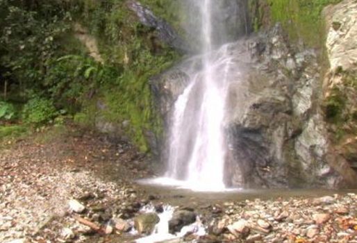 Solicitan cambio del POT en Parque Museo La Martinica para establecer zona agroindustrial. Foto: http://ibagueturistica.galeon.com desarrollo agroindustrial en Martinica, Ibagué