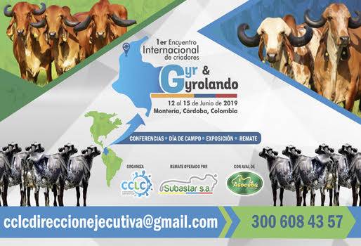 Ganadería, ganadería colombia, noticias ganadera colombia, CONtexto ganadero, evento, Gyr, Gyrolando, ganadero, juzgamiento, ganado, vacas, raza, concurso, córdoba, Montería, departamento cordoba, Brasil, méxico, Costa Rica, Ecuador, Colombia, Bolivia, conferencistas, ganaderos, ganaderos colombia