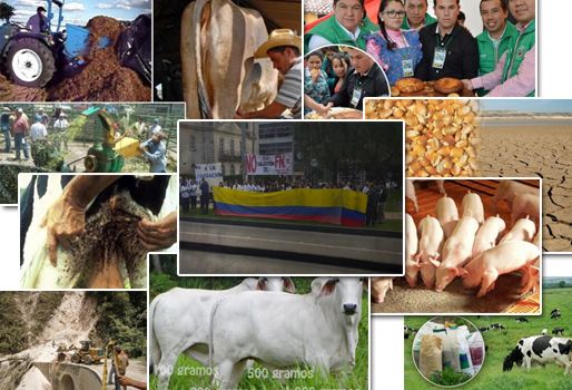 resumen noticias ganaderia colombia