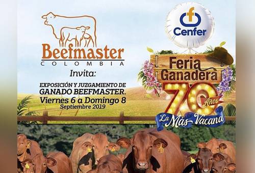 Asociación Beefmaster, ganado Beefmaster, exposición y juzgamiento Beefmaster, exposición y juzgamiento Beefmaster en Bucaramanga, 70° feria de Bucaramanga en Cenfer