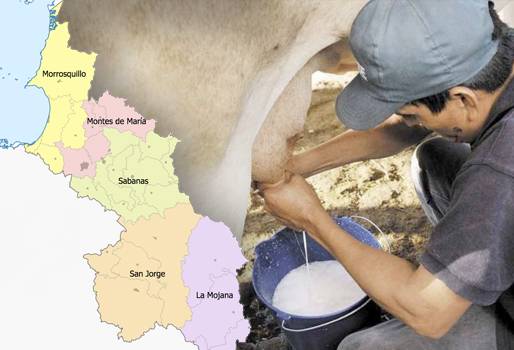 Ganadería, ganadería colombia, noticias ganaderas, noticias ganaderas colombia, CONtexto ganadero, leche, precio de la leche, precio de la leche en sucre, Sucre, Ganaderos de Sucre, sucre colombia, ganadería sucre, ganaderos sucre, lechería sucre, Gobernación de Sucre, Ministerio de Agricultura