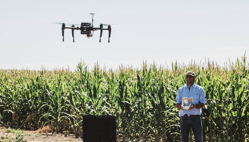 En Argentina utilizan drones para medir la ganadería sostenible