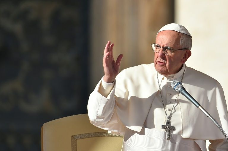 papa francisco medio ambiente 