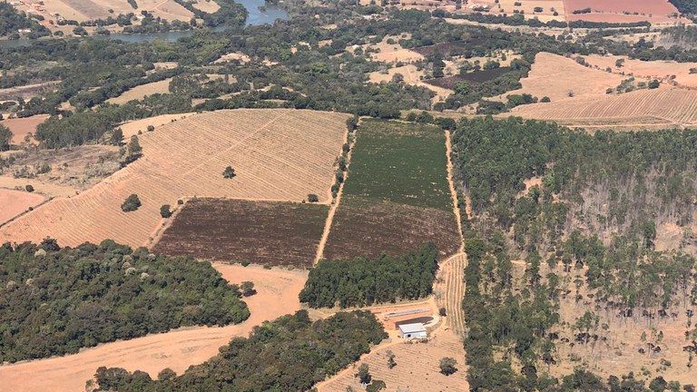Ganadería, ganadería colombia, noticias ganaderas, noticias ganaderas colombia, CONtexto ganadero, Heladas, heladas brasil, heladas brasil 2021, clima brasil, heladas cultivos café brasil, cafeteros de brasil, economía brasil
