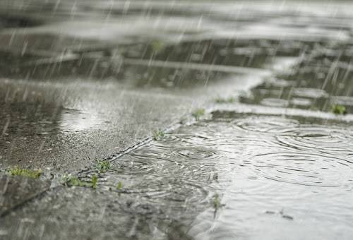 boletín semana sector agrícola, IDEAM, Ganadería, ganadería colombia, noticias ganaderas, noticias ganaderas colombia, CONtexto ganadero, pronósticos Ideam, clima, clima colombia, clima colombia 2020, pronósticos ideam 2020