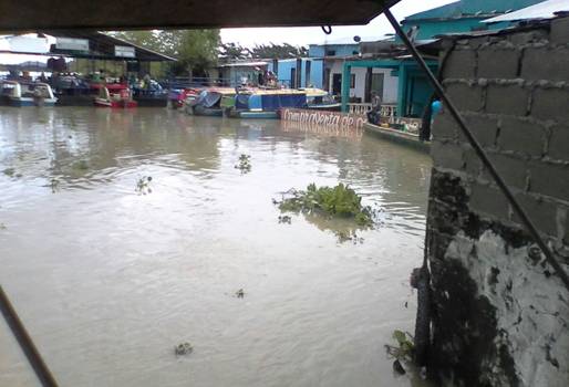 San Jorge y La Mojana, riesgo desbordamiento del río Cauca, inundaciones en  Guaranda, población de  Guaranda en resgo, ganaderos de  Guaranda, arroceros de  Guaranda, Alcaldía de  Guaranda, CONtexto ganadero