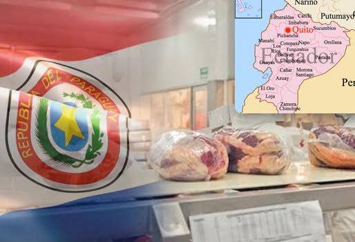 carne paraguay ecuador, carne paraguay ecuador noticias, carne paraguay ecuador cifras, exportaciones carne paraguay ecuador, carne paraguay ecuador importaciones, CONtexto ganadero