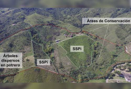 Fincas demostrativas en Colombia, Proyecto Ganadería Colombiana Sostenible, Desarrollo e impacto de una estrategia para la transferencia de tecnología en fincas ganaderas, Fernando Uribe T, CIPAV, Manuel Gómez Ganadería Colombiana Sostenible FEDEGAN, Adolfo Galindo, CIPAV, investigación Acción Participativa – IAP, Diálogo de Saberes, ganadería, ganadería Colombia, noticias ganaderas, noticias ganaderas Colombia, contextoganadero