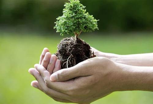 Así trabajamos en el campo colombiano para conservar la naturaleza